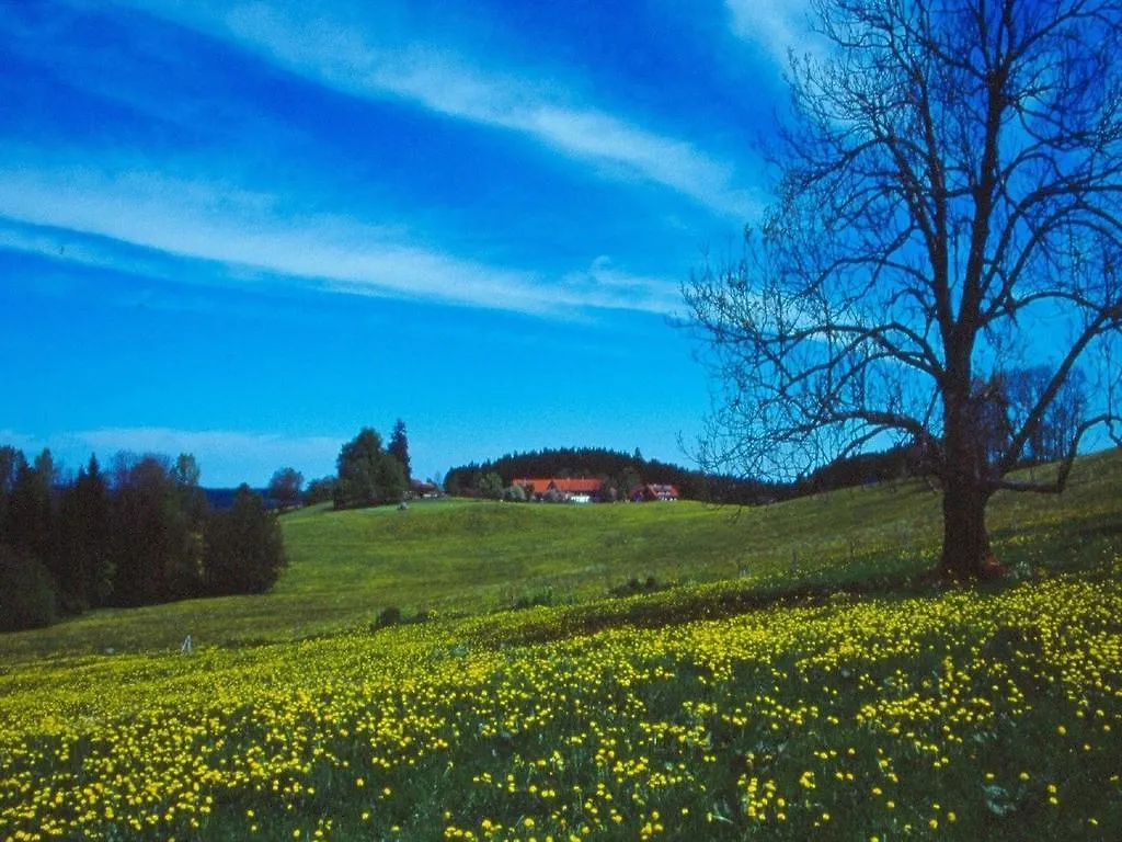 Ferienhaus Kuisle Apartment Gestratz