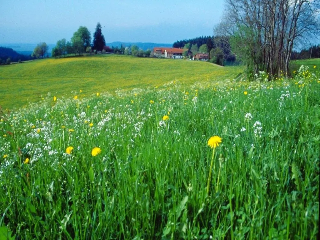 Ferienhaus Kuisle Apartment Gestratz